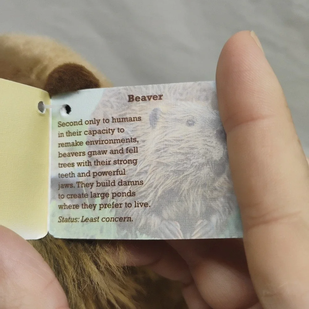 NWT Aurora Miyoni‎ Beaver 8